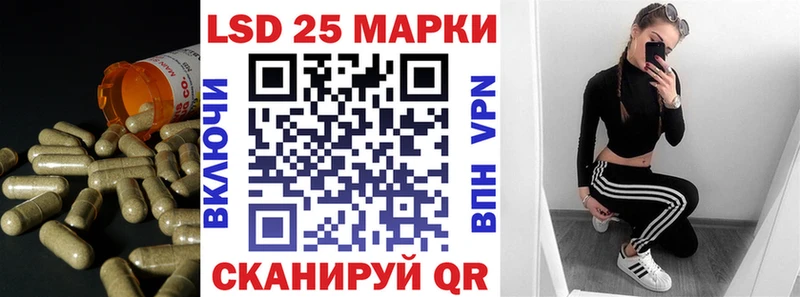 где купить наркоту  Апатиты  блэк спрут ссылки  Лсд 25 экстази кислота 