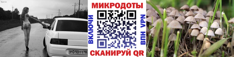 площадка наркотические препараты  Апатиты  Псилоцибиновые грибы Cubensis 