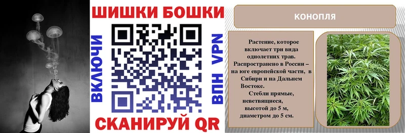 kraken как зайти  где можно купить   Апатиты  МАРИХУАНА SATIVA & INDICA 